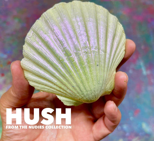 Tanglewood SuePer Shifters Sue-Per DUPER Shifter The Nudies -Tanglewood Sue-per Shifter Metallic Wax Sample Pack The Nudies -Tanglewood Sue-per Shifter Metallic Wax Sample Pack