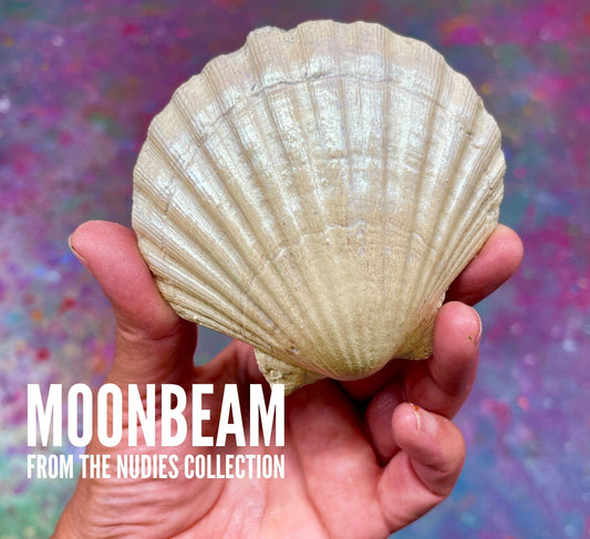 Tanglewood SuePer Shifters Sue-Per DUPER Shifter The Nudies -Tanglewood Sue-per Shifter Metallic Wax Sample Pack The Nudies -Tanglewood Sue-per Shifter Metallic Wax Sample Pack