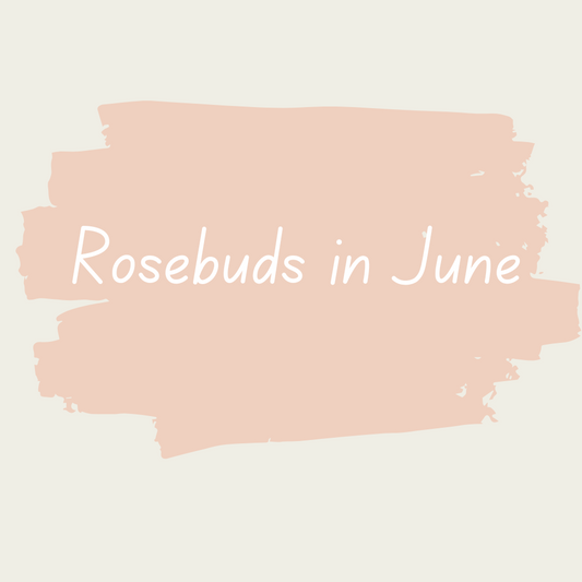 Miss Lillian's NO WAX Chock Paint - Rosebuds in June