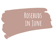 Load image into Gallery viewer, Miss Lillians Chock Paint Chock Paint Miss Lillian&#39;s NO WAX Chock Paint - Rosebuds in June
